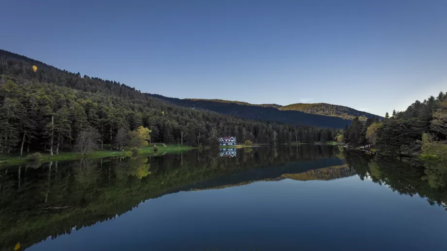 Bolu Gölcük Tabiat Parkı göl evi ve orman manzarası