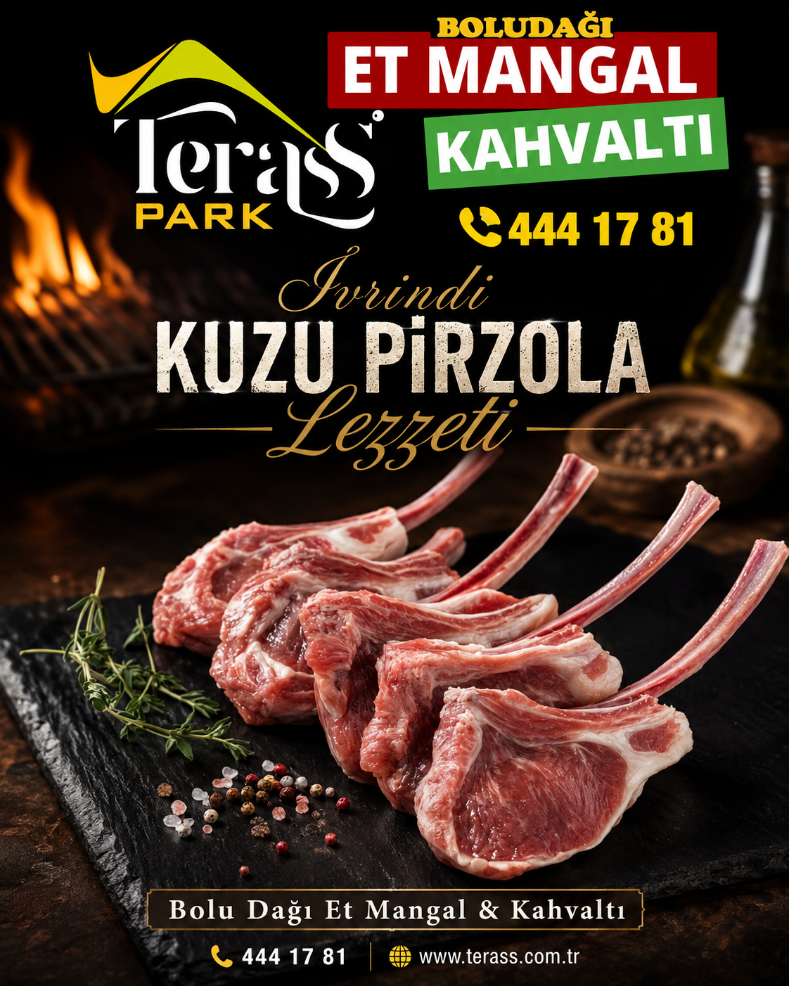 Terass Park Balıkesir İvrindi kuzu pirzola